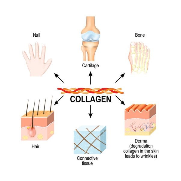 5 ways to stimulate collagen production in skin | by Viktoria Liberm |  Medium