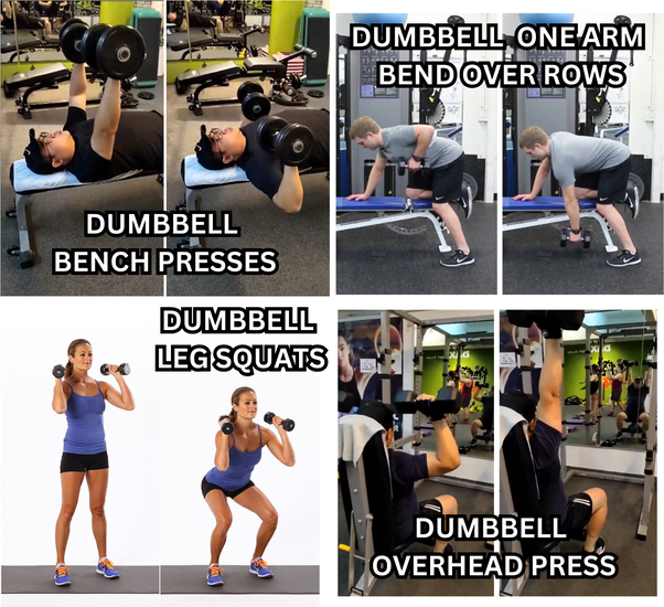 EXERCISE Can You Build a Muscular and Ripped Physique with a 3Day