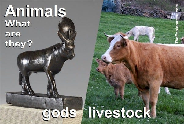 Fauna as gods and Livestock, Humans both Revere and Eat Animals | by ...