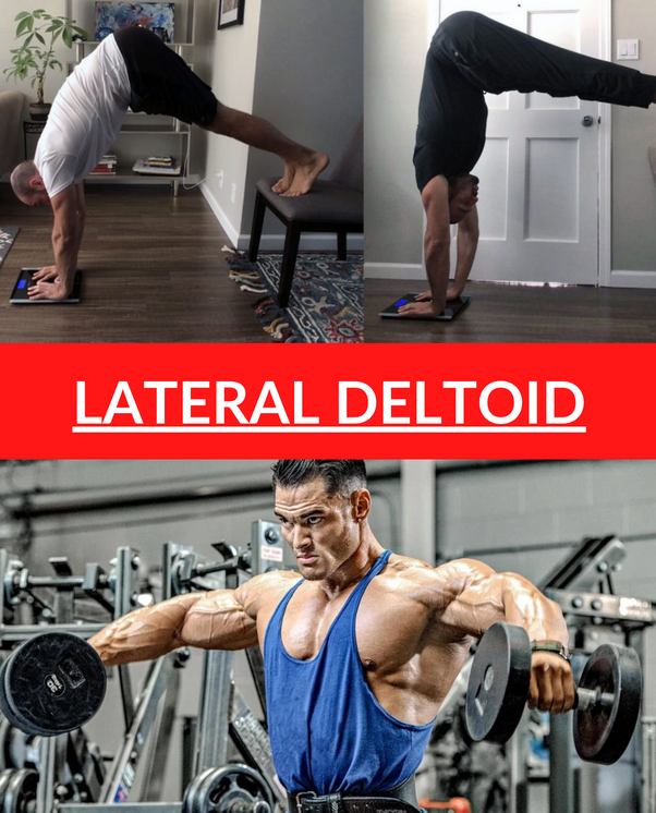 Do pike pushups work the lateral delts? by Workout School Medium