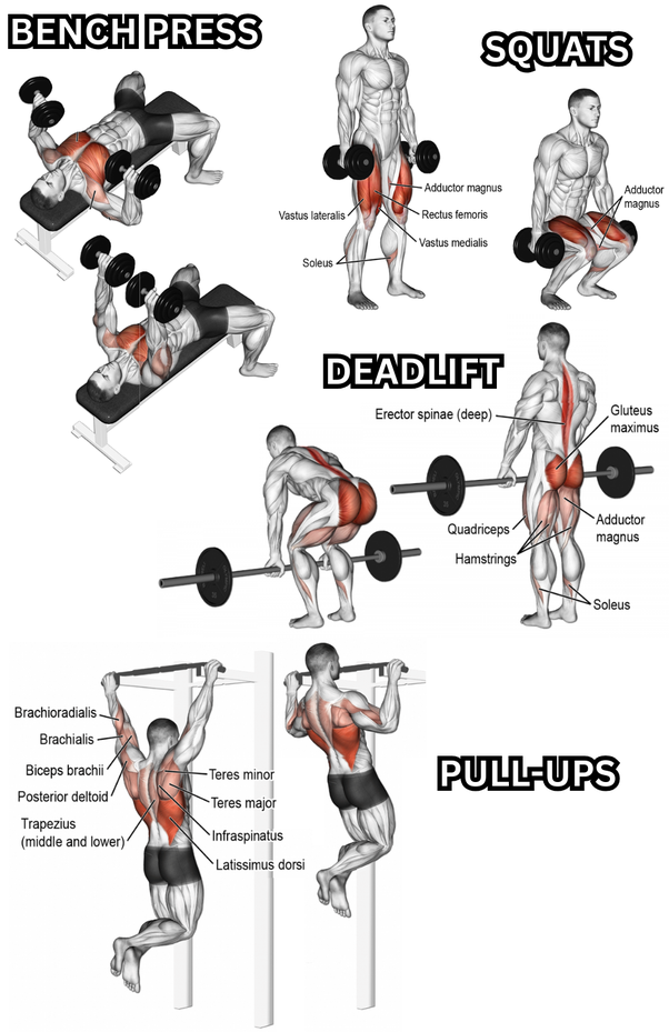 build-a-stronger-more-powerful-you-a-beginner-s-guide-to-full-body