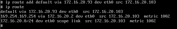 Set IP route for the client instances