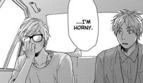 Have you ever read Yaoi?