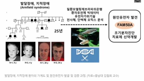 (뉴스브리핑) 유전체 빅데이터 분석으로 지적장애 원인 유전자 발굴