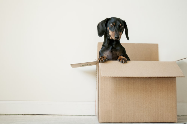 9 Tips to Ship Furniture Safely. Safely ship your furniture with expert