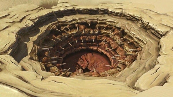 A Report on the Sarlacc(s). The sarlacc pit is a well-known