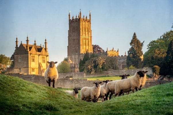 Home Care in Chipping Campden: Tailored Support from Mega Nursing & Care