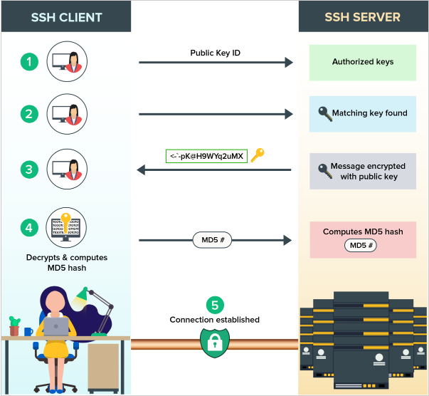 Quickly Create or set up GitHub SSH in Ubuntu 23.04 Example | by Julkhair |  Medium