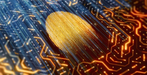 BSI Launches Certification Service for UK Digital Identity Framework Compliance
