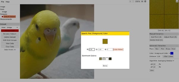 How to draw a picture by using Html-Css (e.g Bird) | by Erdoğan ŞENTÜRK ...