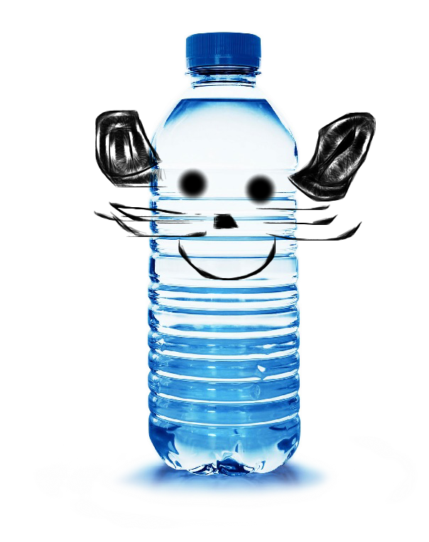 Mouse Water Bottle | by Bottle o Water | Medium