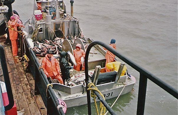 A Day in the Life of a Commercial Fisherman, by Ian Corbin