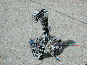 A very nimble DIY hexapod robot