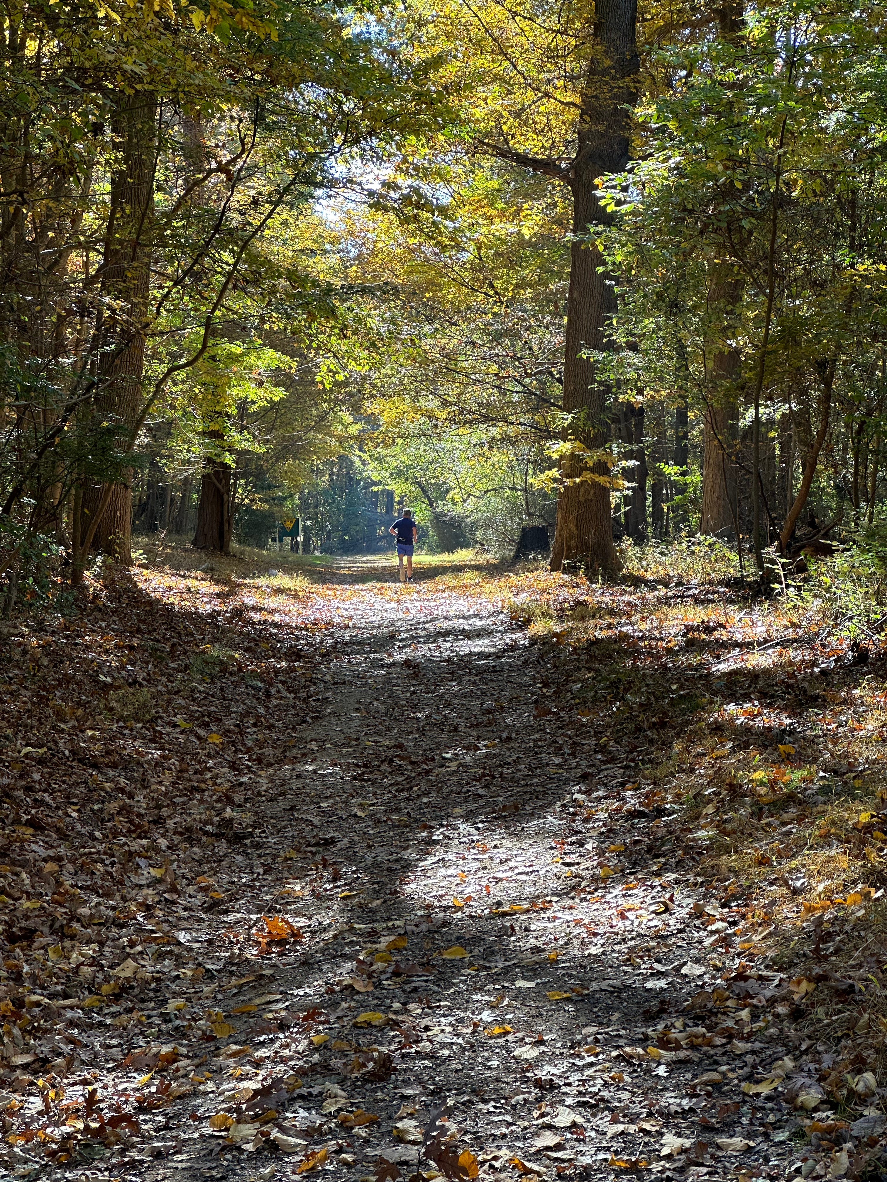Trail Running for Beginners. Lessons learned from my first year of