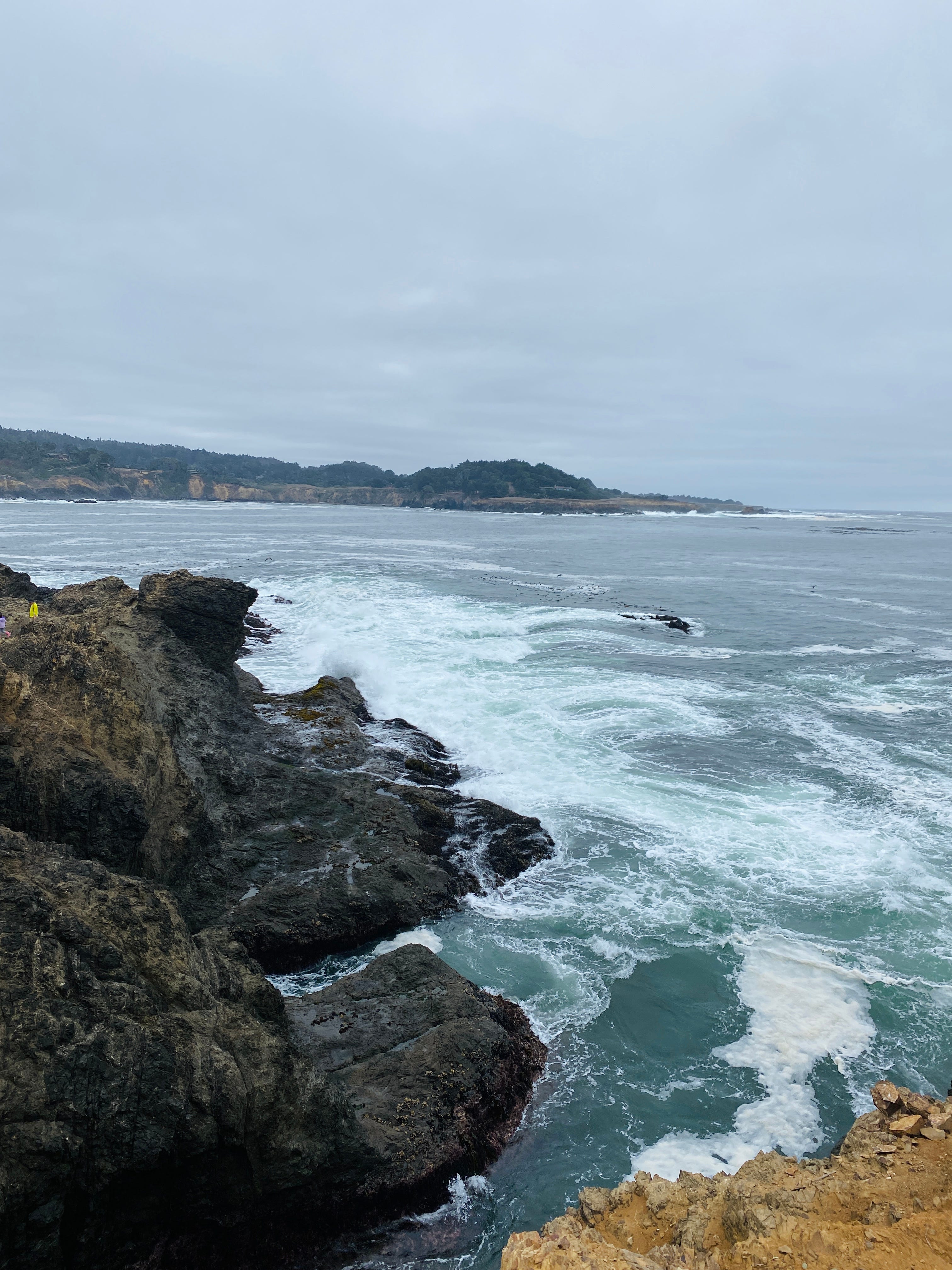 Russian Gulch and Mendocino Headlands by Amy Liu Out and Backpack Medium