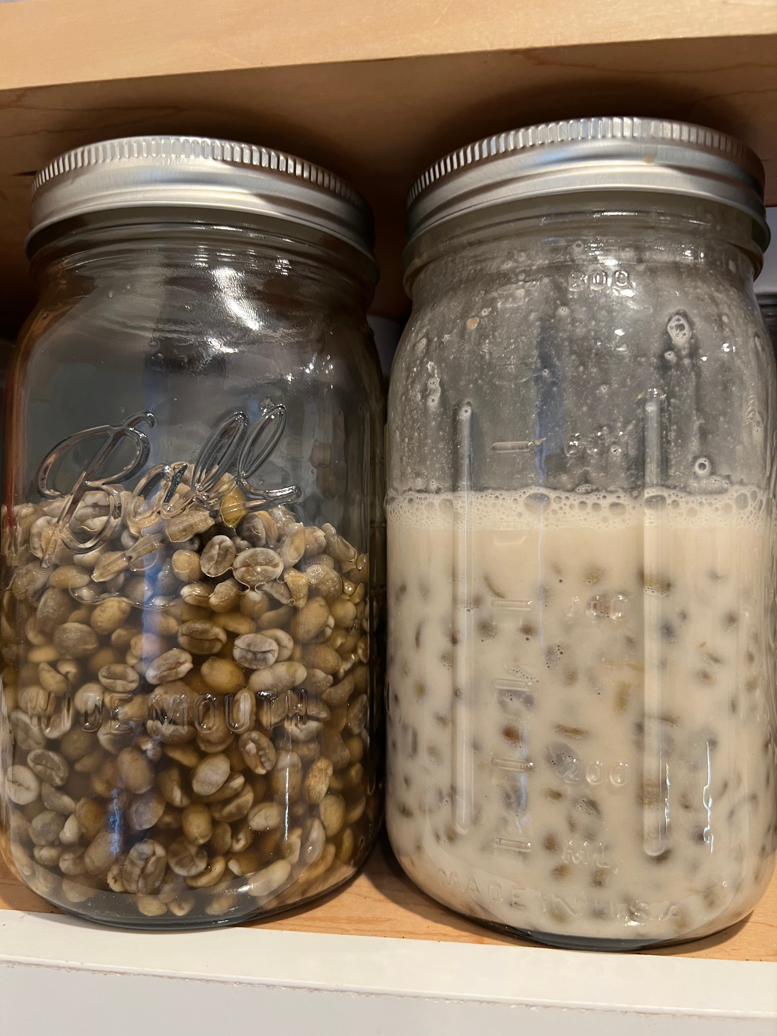 Can Vacuum Jars Remove Gas from Coffee Beans Faster?, by Robert McKeon  Aloe