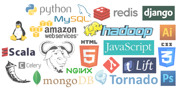 Which Programming Language to Learn to start an online business? | by ...