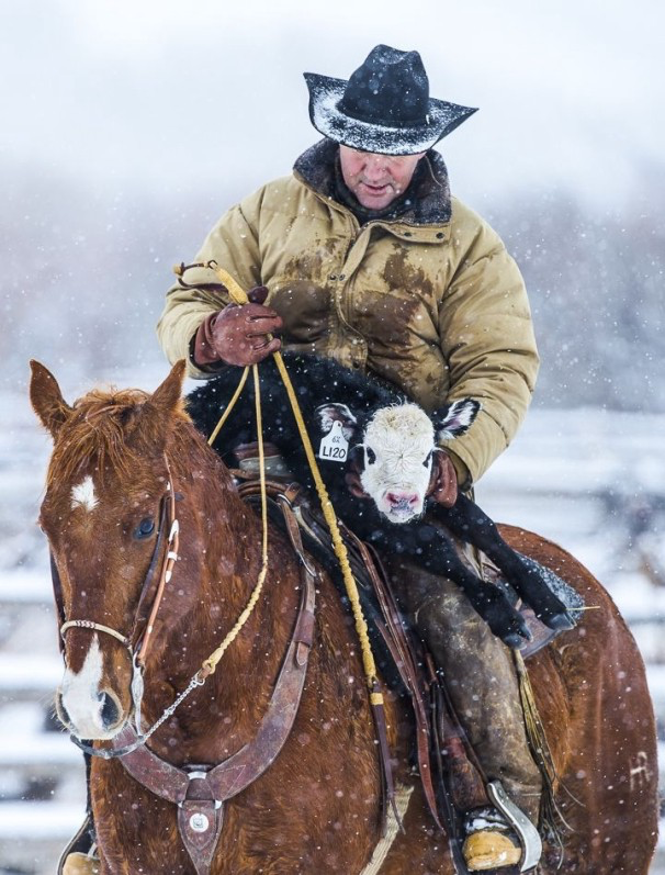 What Makes A Cowboy?. Many people ask me what makes one a…, by Chip  Schweiger