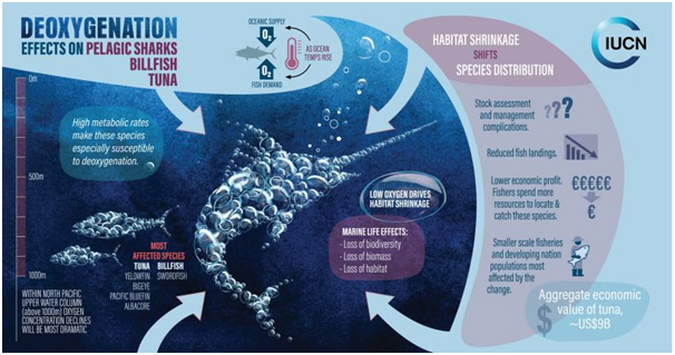 The Ocean Deoxygenation and Survival of Plants and Species on the Earth ...