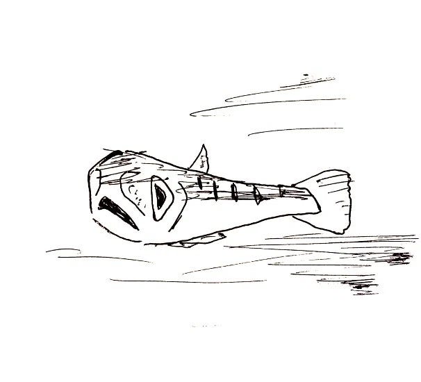 Yamame. I used to catch them often in the Obihiro River near my parents’ house.