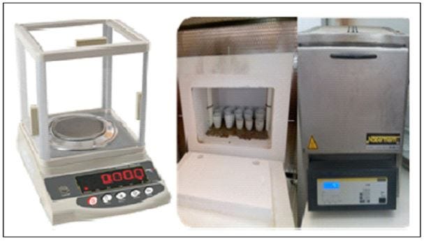 Na+ and K+ accumulation at Atriplex grains (Halimus, Nummularia, Canescence) after application of…