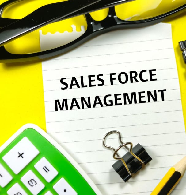 Mastering Efficiency And Growth Salesforce Management Solutions For Seamless Business Mastering Efficiency And Growth Salesforce Management Solutions For Seamless Business