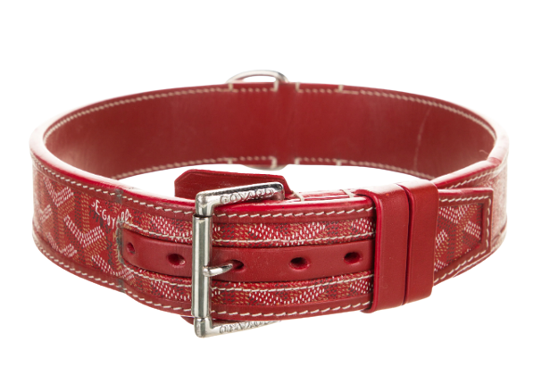 Goyard Dog Collar: A Blend of Luxury and Canine Elegance, by Rory Jenkins, Oct, 2023
