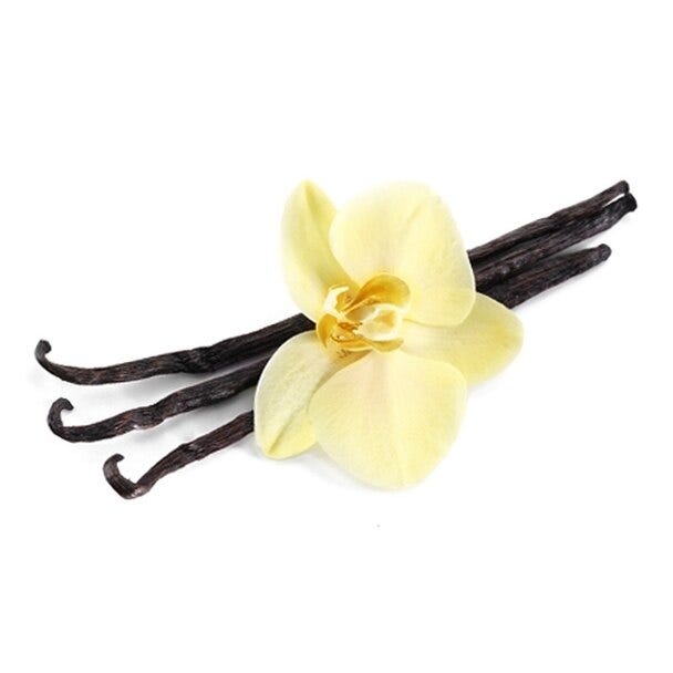 Papua New Guinean Vanilla Beans — Wholesale Vanilla Extract by