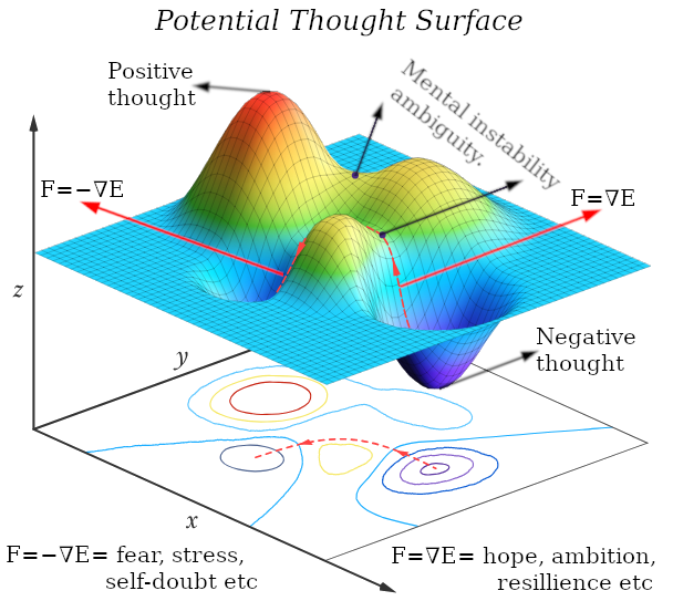 Thermodynamics of the Mind: Why Our Brain Loves Negativity