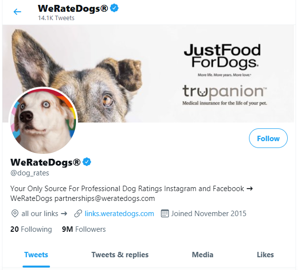 WeRateDogs Twitter: Who Runs It and How Much Is It Worth?
