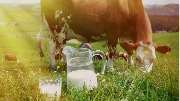 Which Country Is Called the Milk Capital of the World?