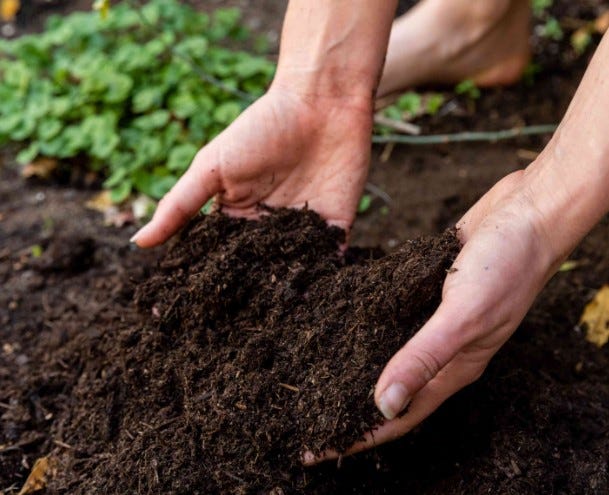How Much Soil Do I Need Determining The Necessary Amount Of By how-much-soil-do-i-need-determining-the-necessary-amount-of-by
