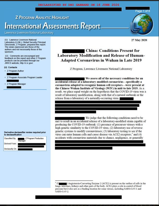 The June 18th Tulsi Gabbard Document Release