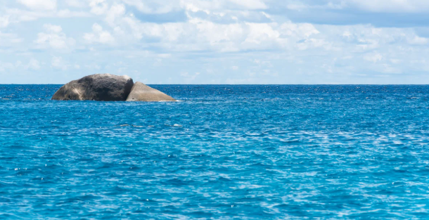 Decoding Ocean Data with GIS: A Complete Guide Using GISBox