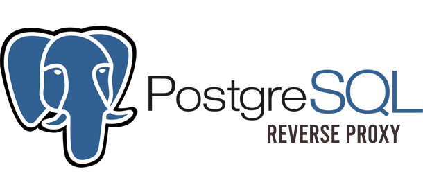 Turning PostgreSQL into a HTTP Reverse Proxy | by Joachim Hodana | Medium