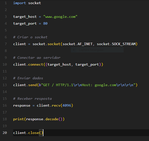 Criando um Cliente TCP Simples em Python: Uma Solução Rápida em ...