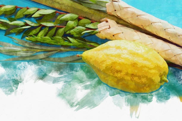 Shabbat Jol HaMoed Sukot 5782 — Volviendo a la normalidad