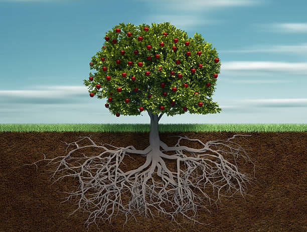 Systems change frameworks — a proliferation | by Donna Loveridge | Medium