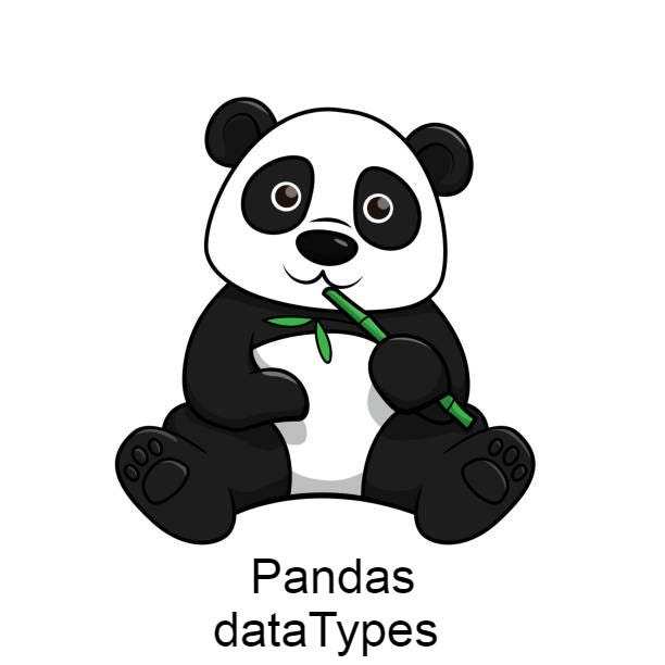 Simplifying Data Type Inference in Pandas with the pandas-datatypes ... image.