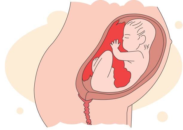 What is PGT, and how does it work in IVF?