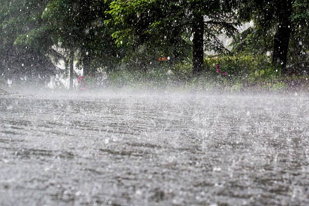 Understanding the Significance of Backwater Valve Installation in Flood-Prone Areas
