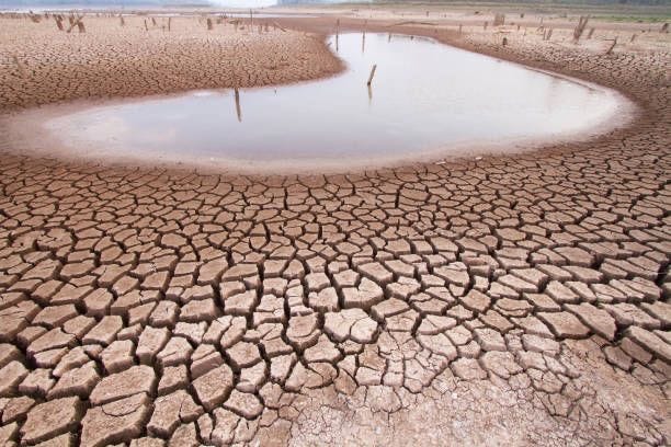 Pandangan dan Prediksi BMKG Tentang Fenomena El Niño 2024