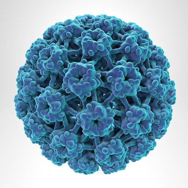 HPV The Most Common Sexually Transmitted Infection You’ve Never Heard