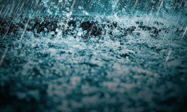 Exploring Sustainable Solutions for Residential Flood Prevention and Protection