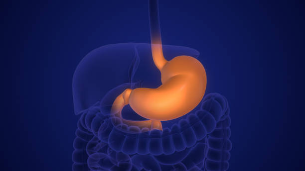 Acid Reflux Isn’t About Having Too Much Acid!