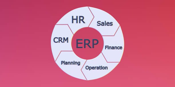 Business Efficiency: A Holistic Approach with ERP and HRMS