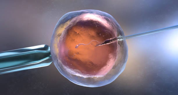 Embryo Transfer and Cramping: Understanding the Causes and Coping Strategies