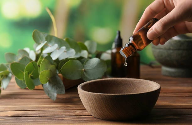 5 Óleos Essenciais que Facilitam a Respiração: Um Alívio Natural