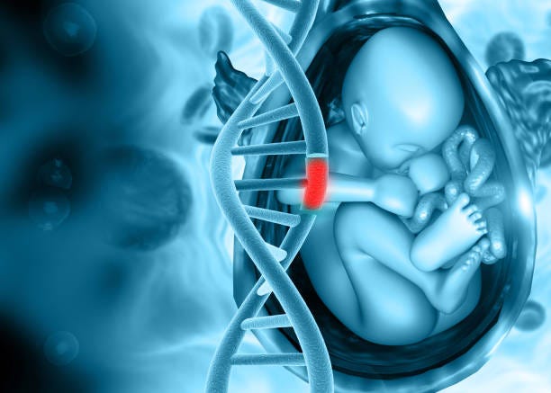 À quoi ressemblera l’avenir de l’humanité si la gamétogenèse in vitro est confirmée ?