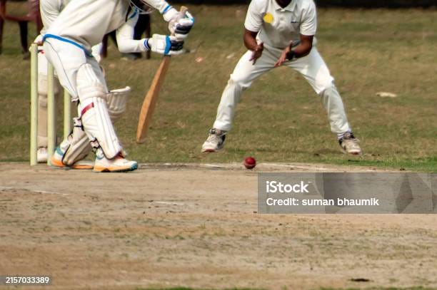 Histories concerning great Wicketkeepers of Cricket